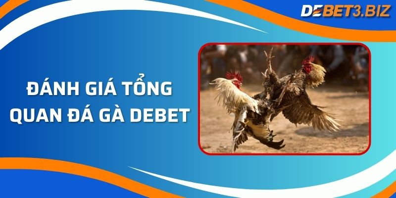 Đánh giá tổng quan trang đá gà Debet