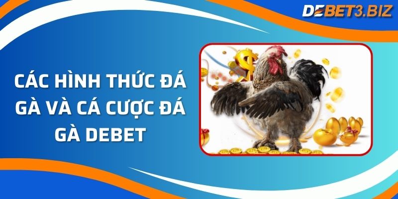 Các hình thức đá gà và cá cược đá gà Debet