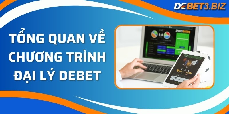 Tổng quan về chương trình đại lý Debet