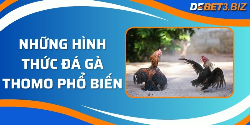 Những hình thức đá gà Thomo phổ biến