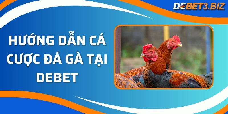 Hướng dẫn cá cược đá gà tại Debet