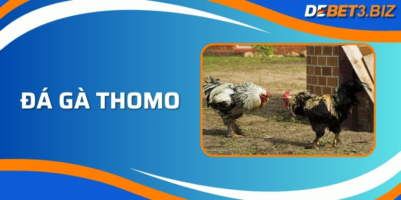 Đá Gà Thomo